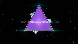 Lagu dj tamu malam mingguu