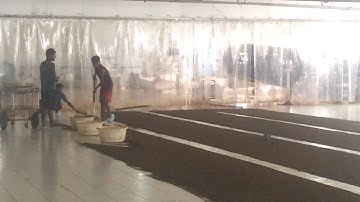 Floor Fermentation of Tea