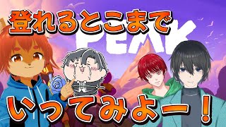 【#PEAK】協力が望めない！？頂上は誰の手に！【ひとみんの巣箱放送】