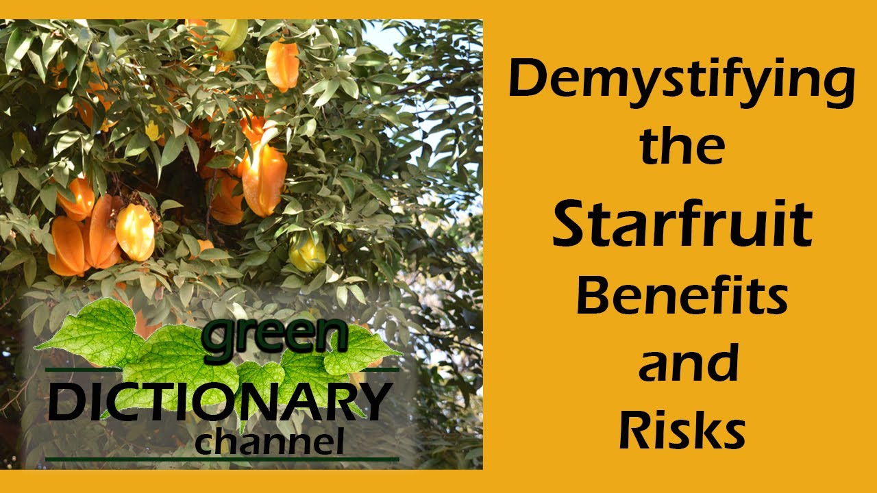 Demystifying the Starfruit Benefits and Risks YouTube