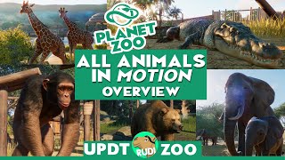 ALL ANIMALS in Motion (we know so far) - PLANET ZOO Update ALL ANIMALS in Motion (we know so far) - PLANET ZOO Update