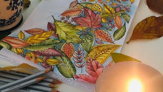 Rita Berman - Staedtler Aquarellstift Color Along