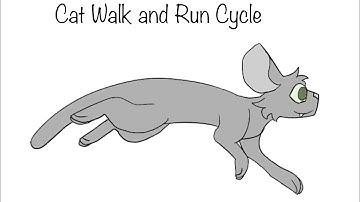 Cat Walk and Run Cycle Animation