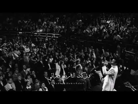 نوارة عمري زيديني عشقا كاظم الساهر تصميمي