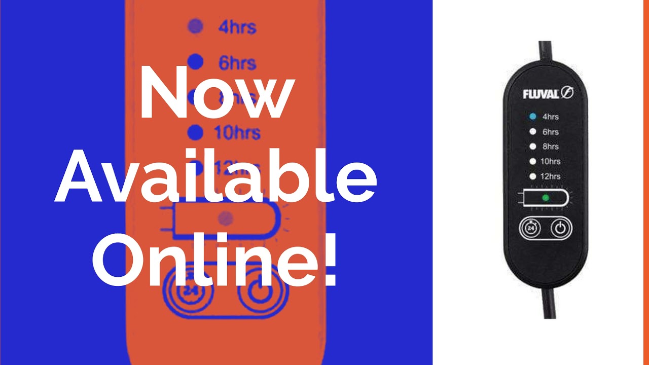 The Bottom Feeders Aquarium - Fluval UVC In-Line Clarifier