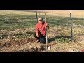 How To Till A Garden Without A Rototiller Double Dig Gardening Method