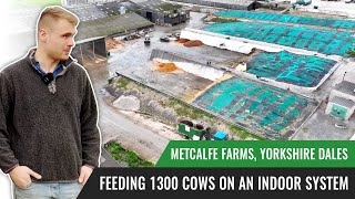 How Do We Feed 1300 Cows - Metcalfe Farms, Yorkshire Dales