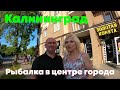 Калининград Рыбалка в центре города