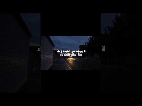 لا يوجد في الحياة وفاء هنا البقاء للاقوياء اغاني بدون موسيقى اغاني