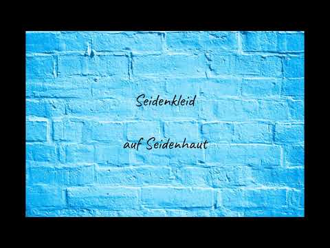 Paula Hartmann - Seidenkleid Lyrics Video