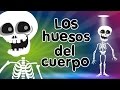 Los Huesos del Cuerpo - Canciones Infantiles