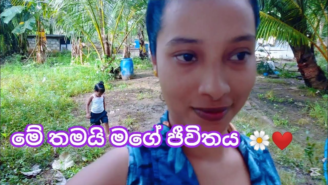 🍃 මගේ ජීවිතය 😇❤ This is my life 💚🌼 #nature #simple #AmeeshaMadhushi