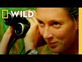 Jane Goodall: Conservationist, Primatologist, &amp; Nat Geo Explorer | Nat Geo Animals