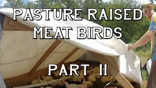 Pasture raised meat birds, Part 2