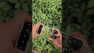 X300pro Flower Spin - Effortless Photography in One Click