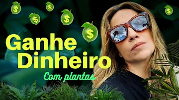 Como abrir um negócio de plantas?