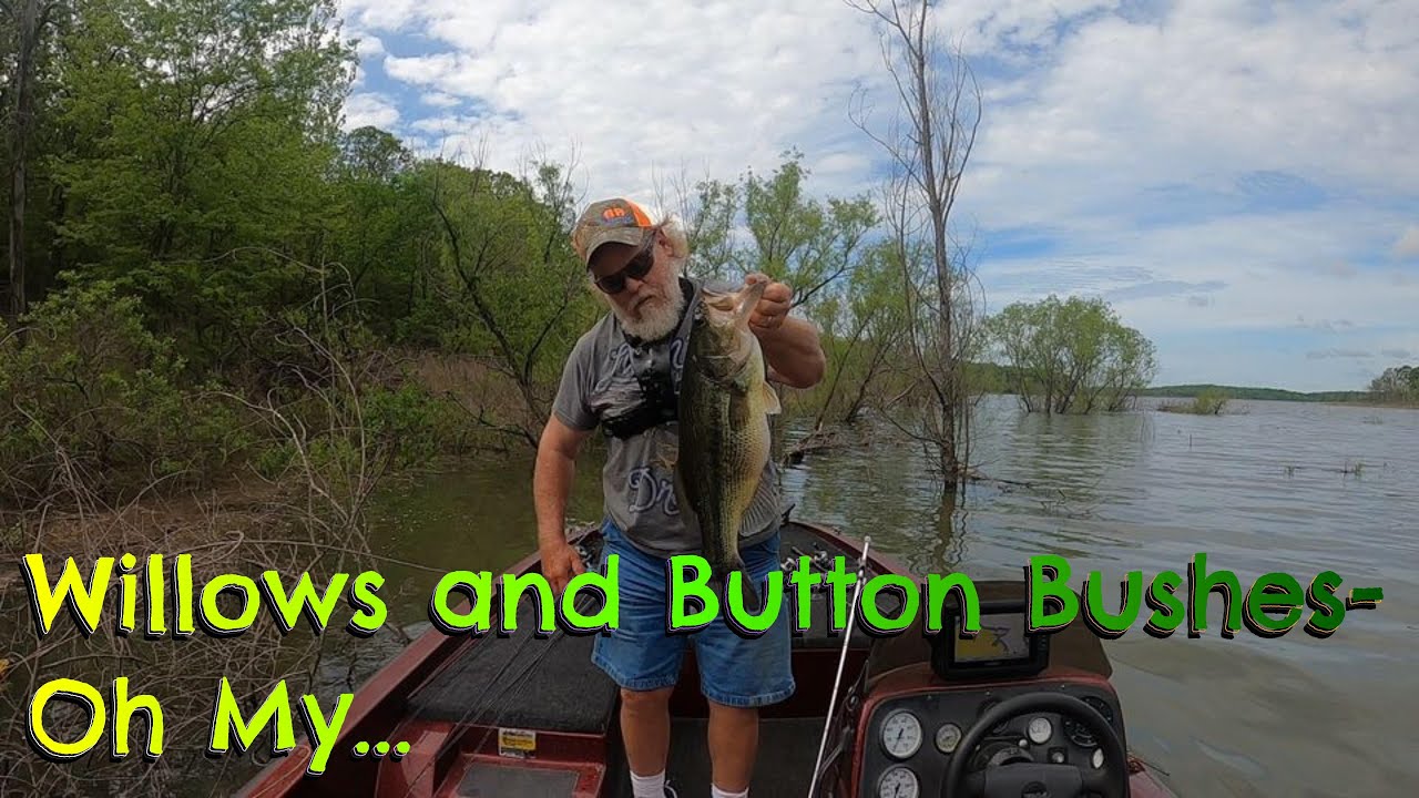 My Take on Today's Shallow Water Bass Fishin'
