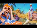 بل بي يركب جمل لنزر حديقة الحيوان برنامج بليبي التعليمي  بليبي بالعربي