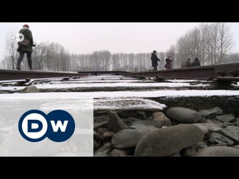 Auschwitz - Begegnungen gegen das Vergessen | Journal Reporter