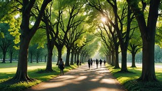 하루 10분 걷기만 해도 내 몸이 달라지는 이유 (중년이라면 꼭 보세요)