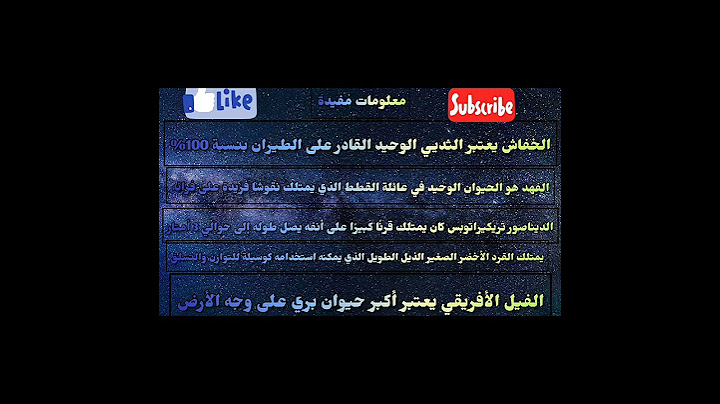بلد الوليد يكتسح برشلونة الدوري الاسباني#shorts#football#goal #shortsالاهلي#الزمالك#الدوري_الاسباني