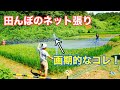 【自然稲作】棚田　田んぼのネットの張り方と画期的なアイテム紹介