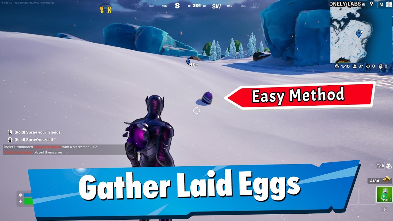 Gather Laid Eggs - Fortnite Spring Breakout Quest
