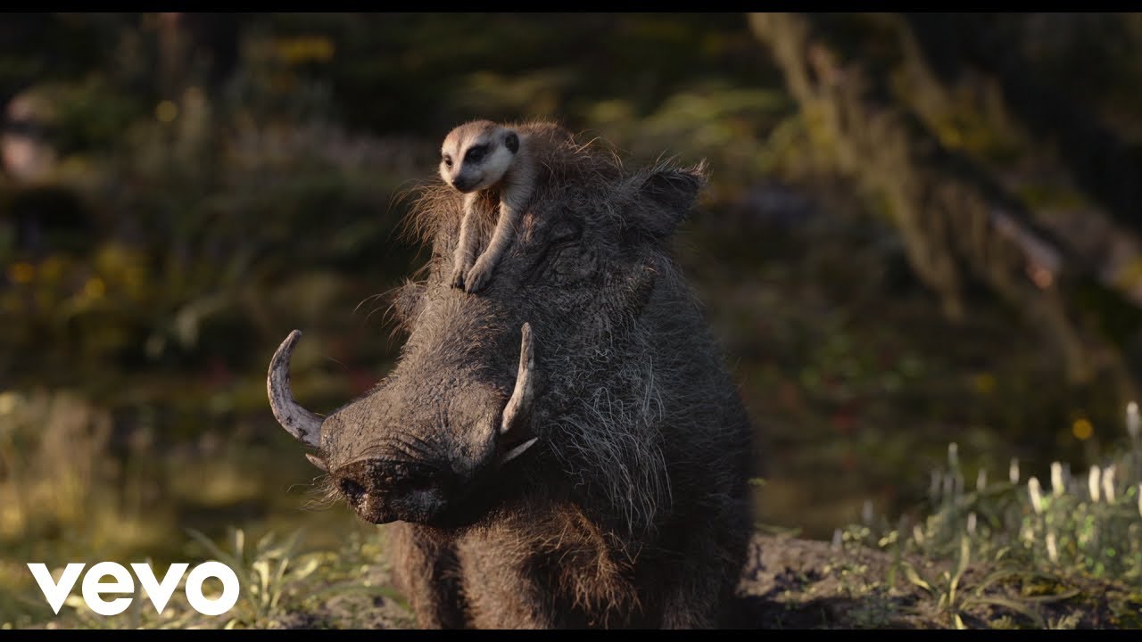 在 YouTube 上观看 Es la noche del amor (De "El Rey León")