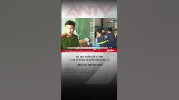 Chính phủ hỗ trợ khẩn cấp 1.100 tỷ khắc phục mưa lũ #antv #shorts #mualu