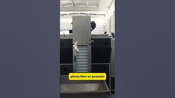 Nut Roasting Machine: Perfect Precision for Premium Roasted Nuts! #shorts #nutsroastingmachines