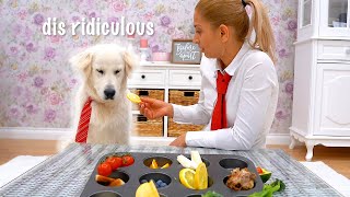 Funny Dog Videos With Our Funny Golden Retriever by Happy Licious 1,279 views 2 years ago 4 minutes, 50 seconds