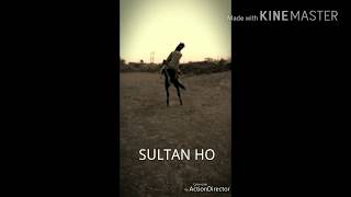 Kathiyawadi Horse .......