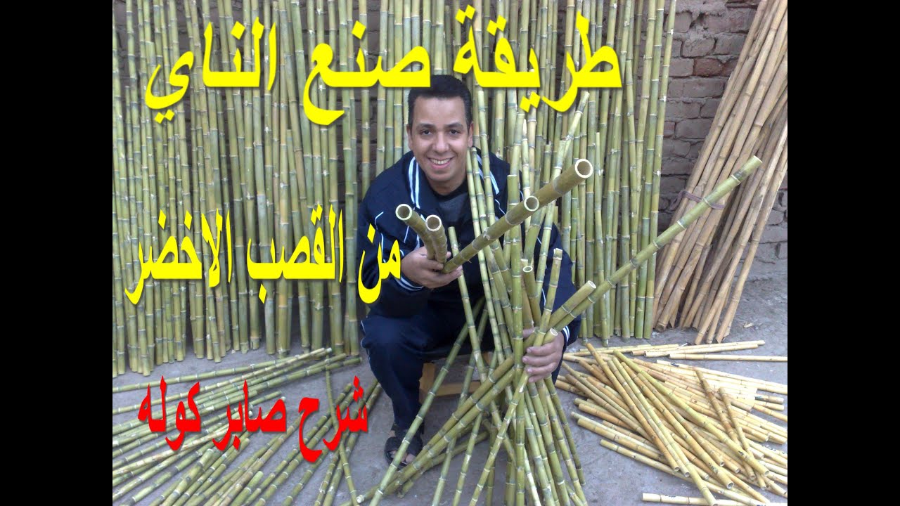 طريقه صنع الناي من القصب الاخضر/ غاب/ الغاب/ #غاب / #الغاب /#صابر_كولة/ #صابر_كولة / #السعوديه /#دبي