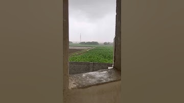 {وترى الارض هامدة} القارئ ياسر الدوسري