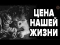 ДО СЛЁЗ...КАК ЖИВОТНЫЕ ЗАБИРАЮТ НАШИ БОЛЕЗНИ И СМЕРТЬ .