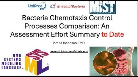 Bacteria Chemotaxis Control Comparison