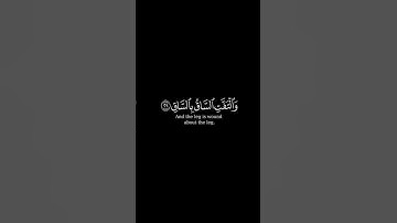 كَلَّا إِذَا بَلَغَتِ التَّرَاقِيَ #قرآن #ياسر_الدوسري #quran #تلاوات #fypシ #كرومات #quran_kareem