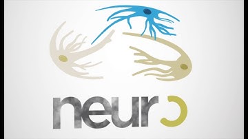 Using Microsoft Kinect Camera to Improve Multiple Sclerosis Evaluation