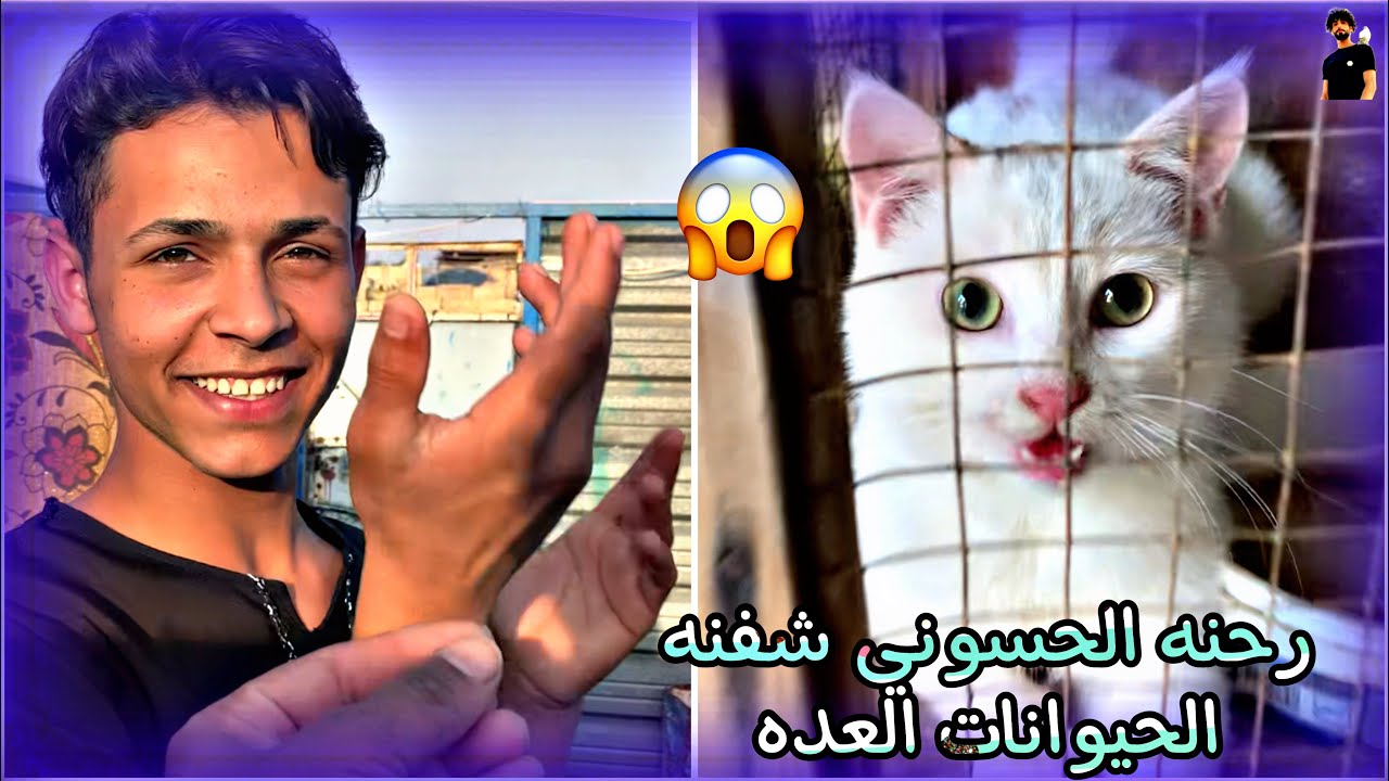 اليوم صعدنه يم طيور طيرناه ورحنه يم حسوني شقاوه حمودي سكيت 2024