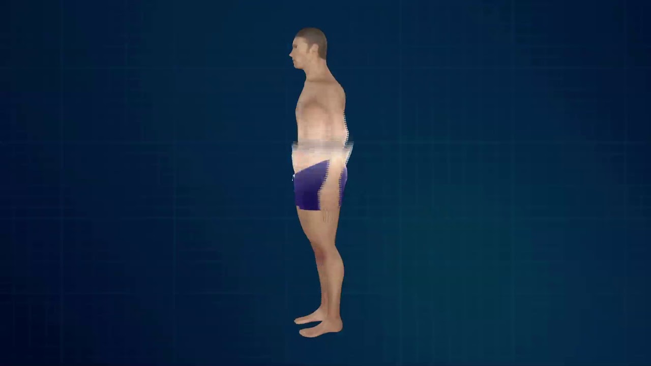 Body Buildo Fact | Body Building | Bodybuilding