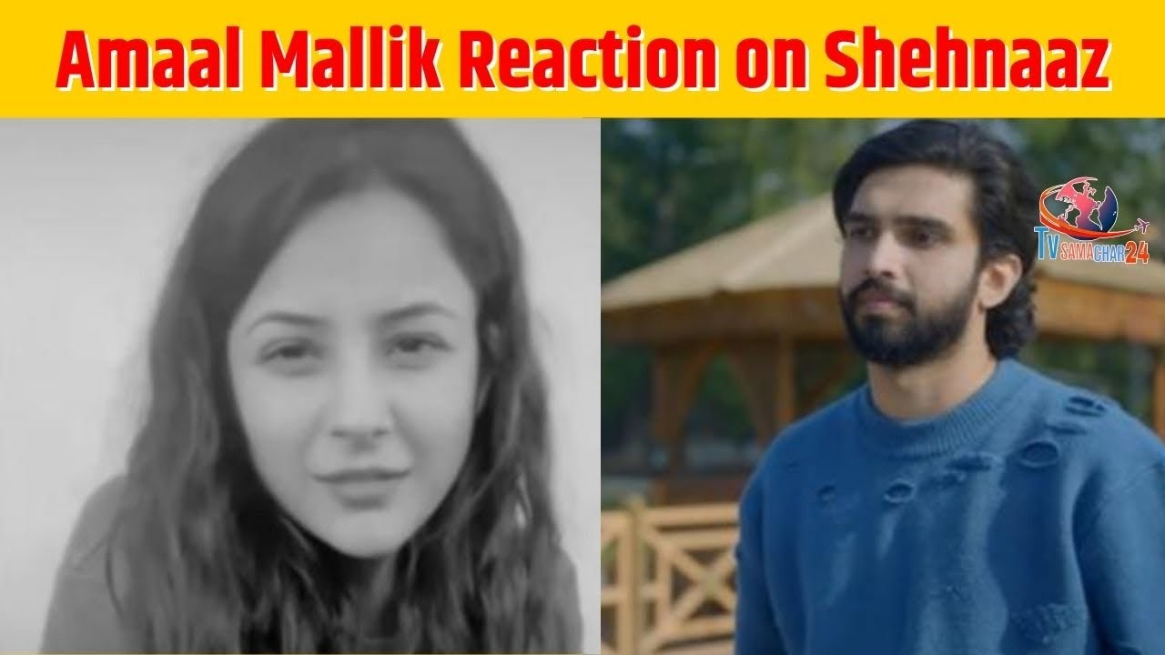 शहनाज पर Amaal Mallik का आया Reaction | Amaal Gives Reaction on Shehnaaz Kaur Gill | Tv Samachar 24