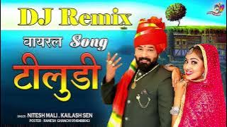 viral song instagram Tiludi ( टीलुडी ) || New Marwadi Vivah Song 2024 !! DJ Remix Marwadi वायरलSong