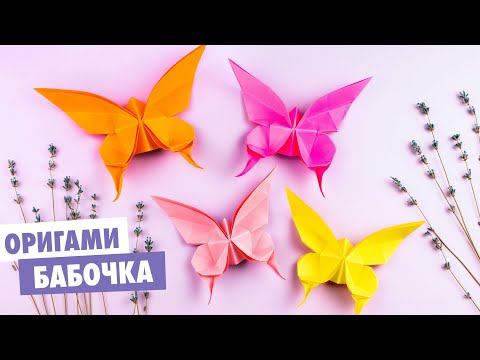 Video: Växande Papillon Hemma