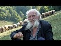 Najstariji ovčar u BiH treba traktor