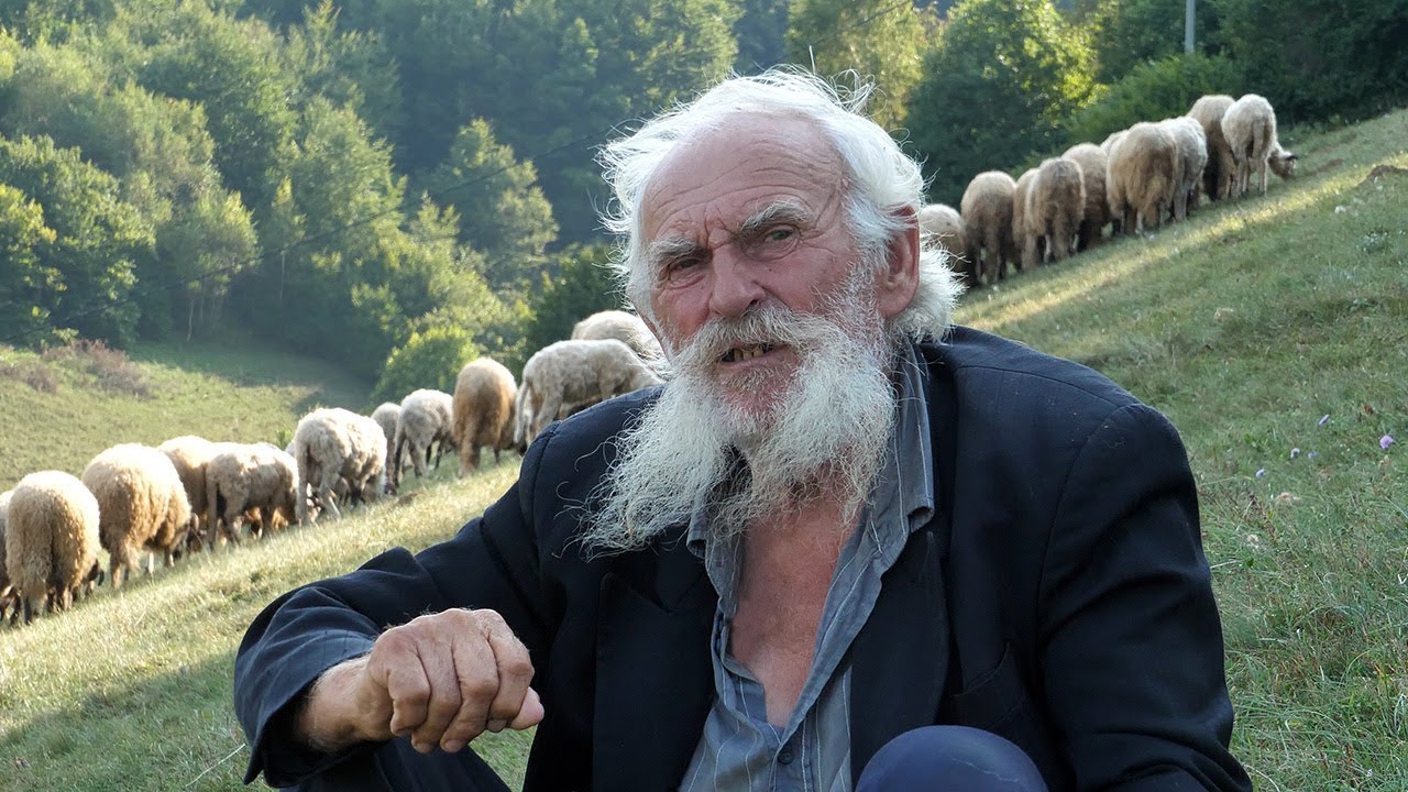 Najstariji ovčar u BiH treba traktor