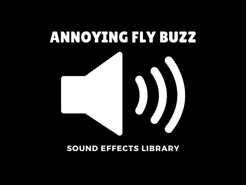 Annoying Fly Buzz Sound Effect [Download Link]