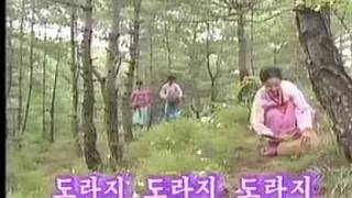 Video thumbnail of "Korean Folk Song 도라지 Traji North Korean Version  北朝鮮版トラジ"