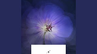 Excellent Ambience for Soft Memory