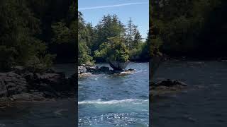 Balance of Nature