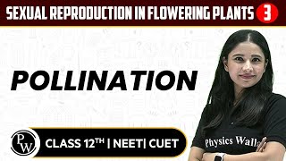 Sexual Reproduction in Flowering Plants 04 | Pollination | Pure English | 12th / NEET/CUET screenshot 5